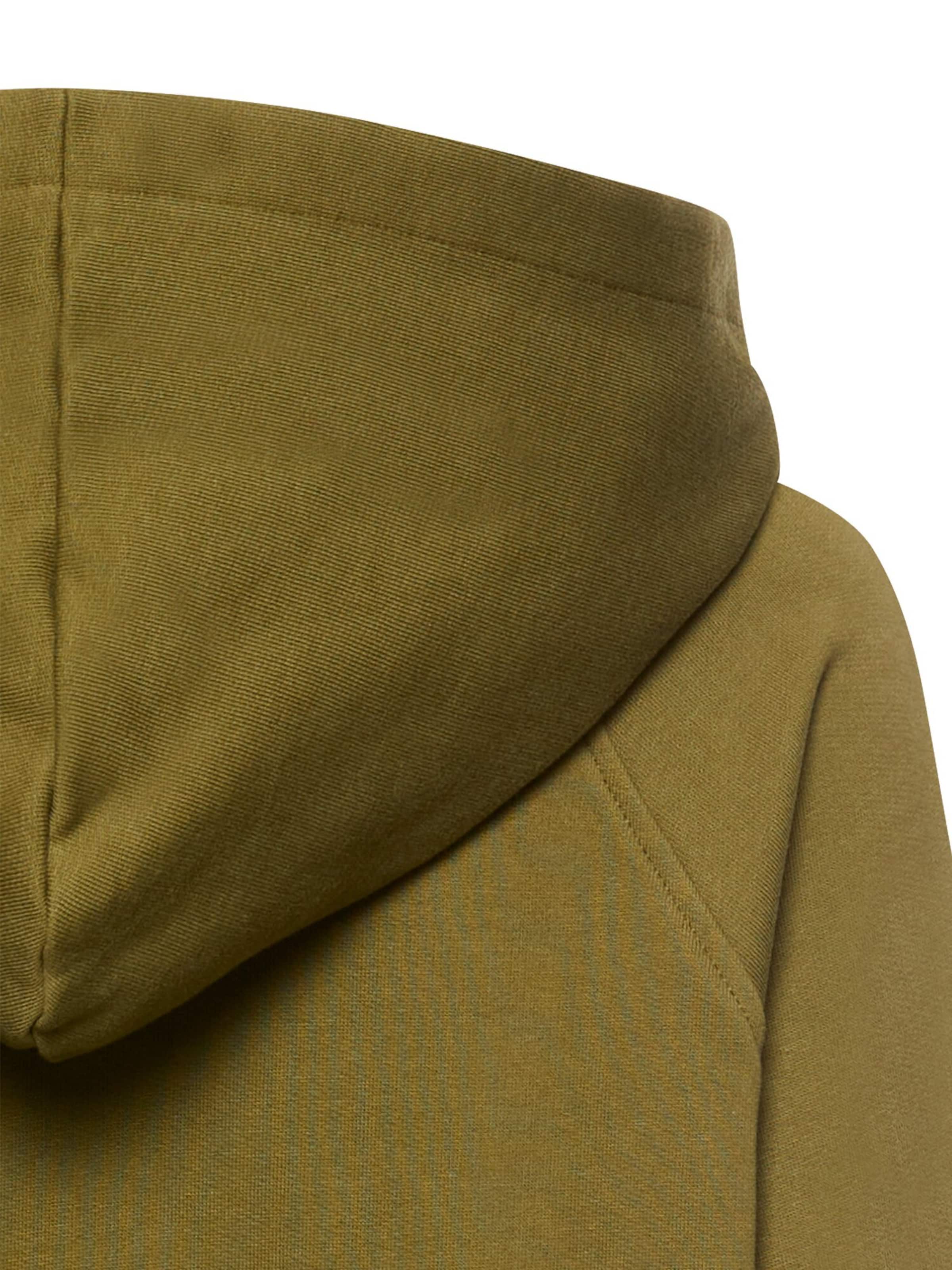 CAMEL ACTIVE Sweater in Green