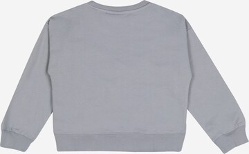 The New Sweatshirt 'DOVE' in Grijs