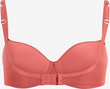 ESPRIT Push-up Bra in Orange