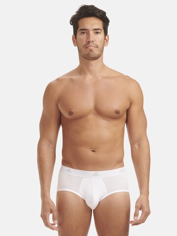 ADIDAS SPORTSWEAR - Calzoncillo deportivo ' Sport Active Flex Cotton ' en blanco: frente