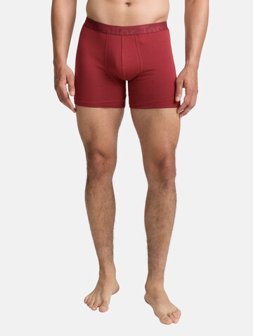 TOM TAILOR Boxershorts in Rood: voorkant