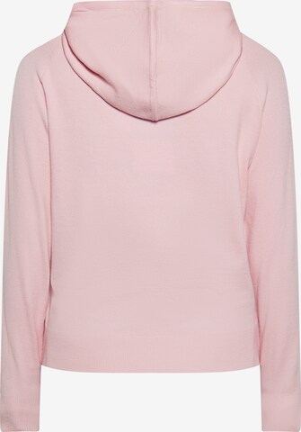 SANIKA Sweatshirt in Pink