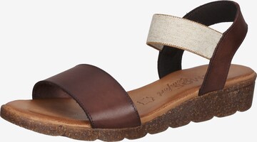 COSMOS COMFORT Sandalen met riem in Bruin