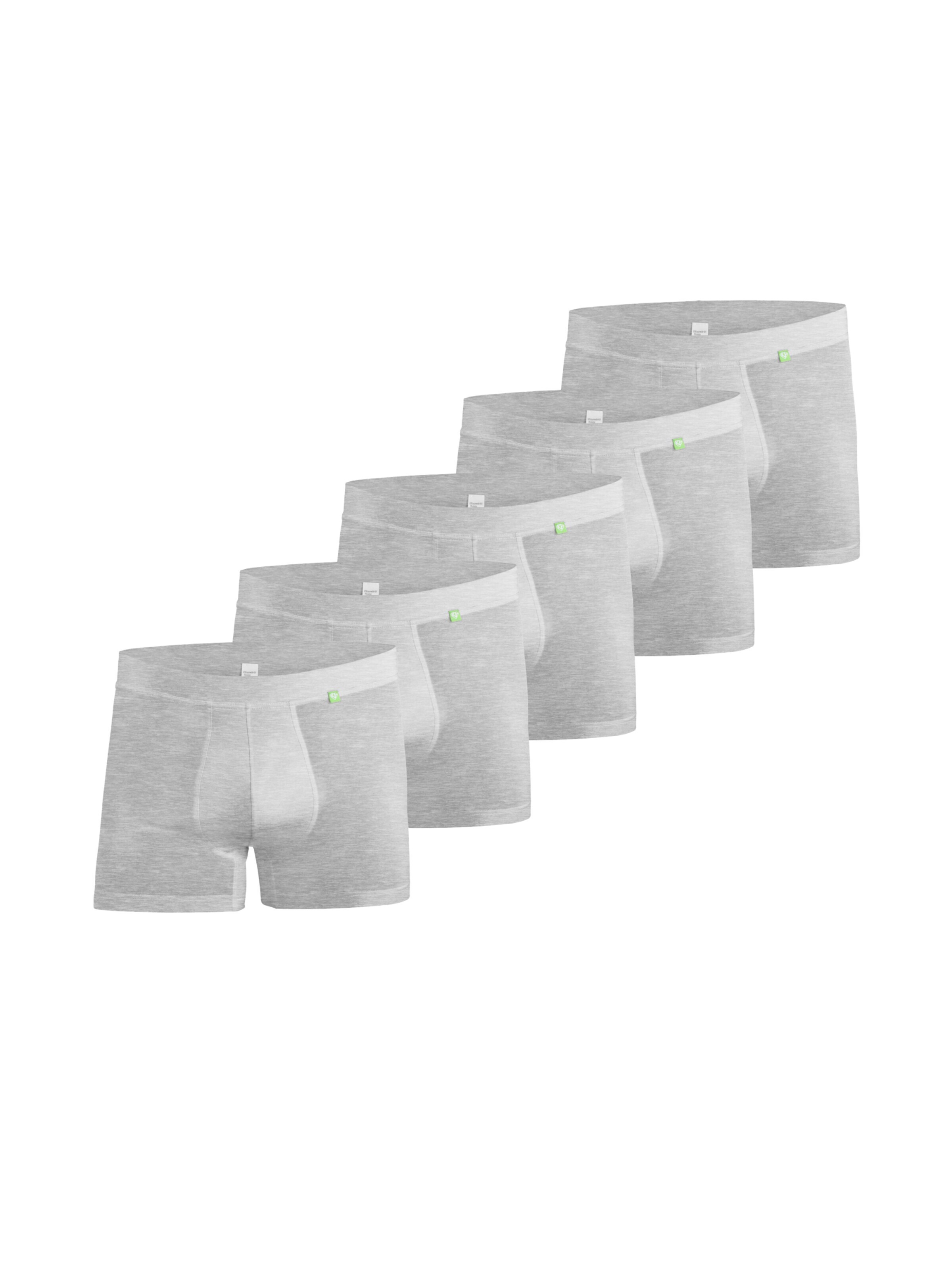 kleiderhelden Boxershorts 'Beatbux 5er'‌ in Grau: Vorderseite