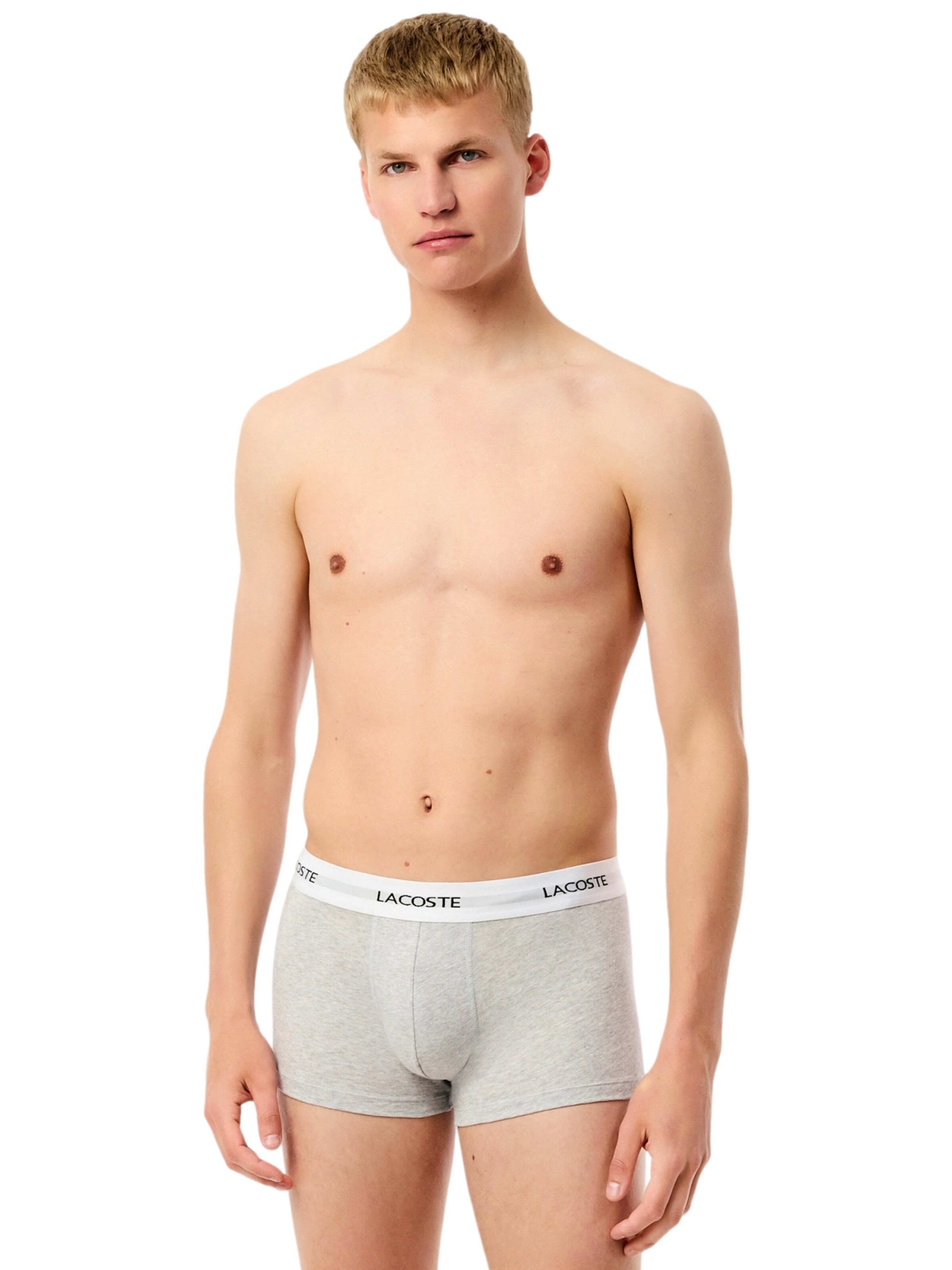 LACOSTE Boxer shorts in Mixed colours: front