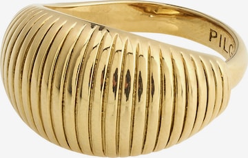 Pilgrim Ring 'Xena' in Gold: front