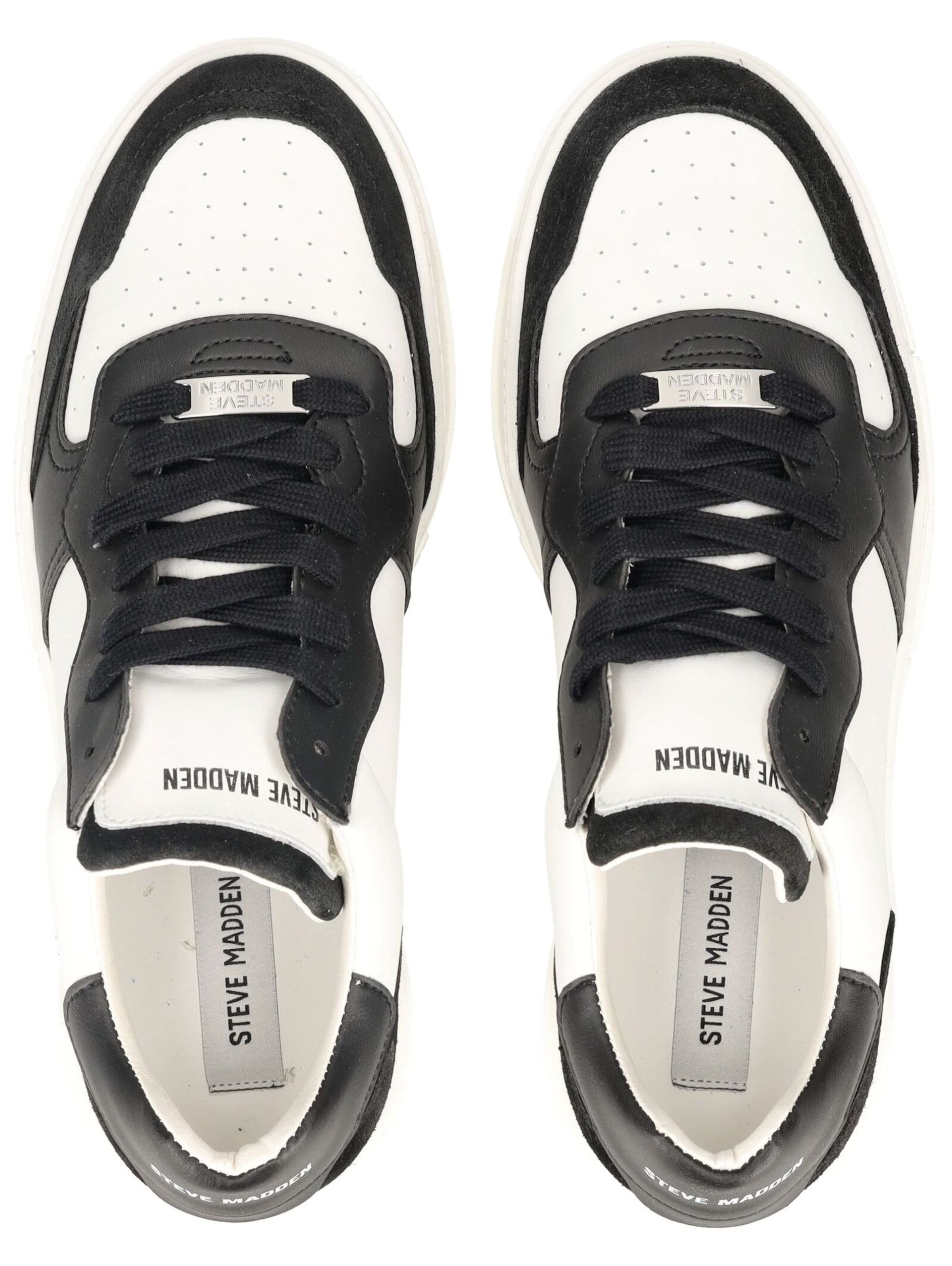 STEVE MADDEN Sneaker in Schwarz