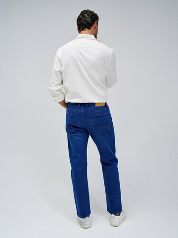 Salsa Jeans Regular Jeans in Blauw