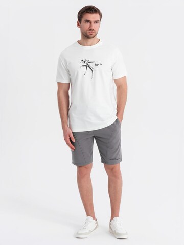 Ombre Regular Trousers in Grey