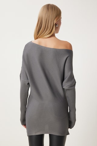 Happiness İstanbul - Jersey en gris