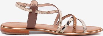 Les Tropéziennes Sandals 'Harry' in Brown