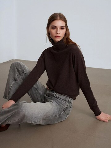 Dilvin Pullover 'Pullover'‌‌‌‌‌ in Braun