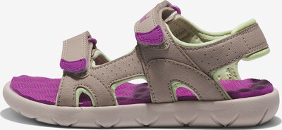 TIMBERLAND Chaussures ouvertes 'Perkins Row' en taupe / violet, Vue avec produit