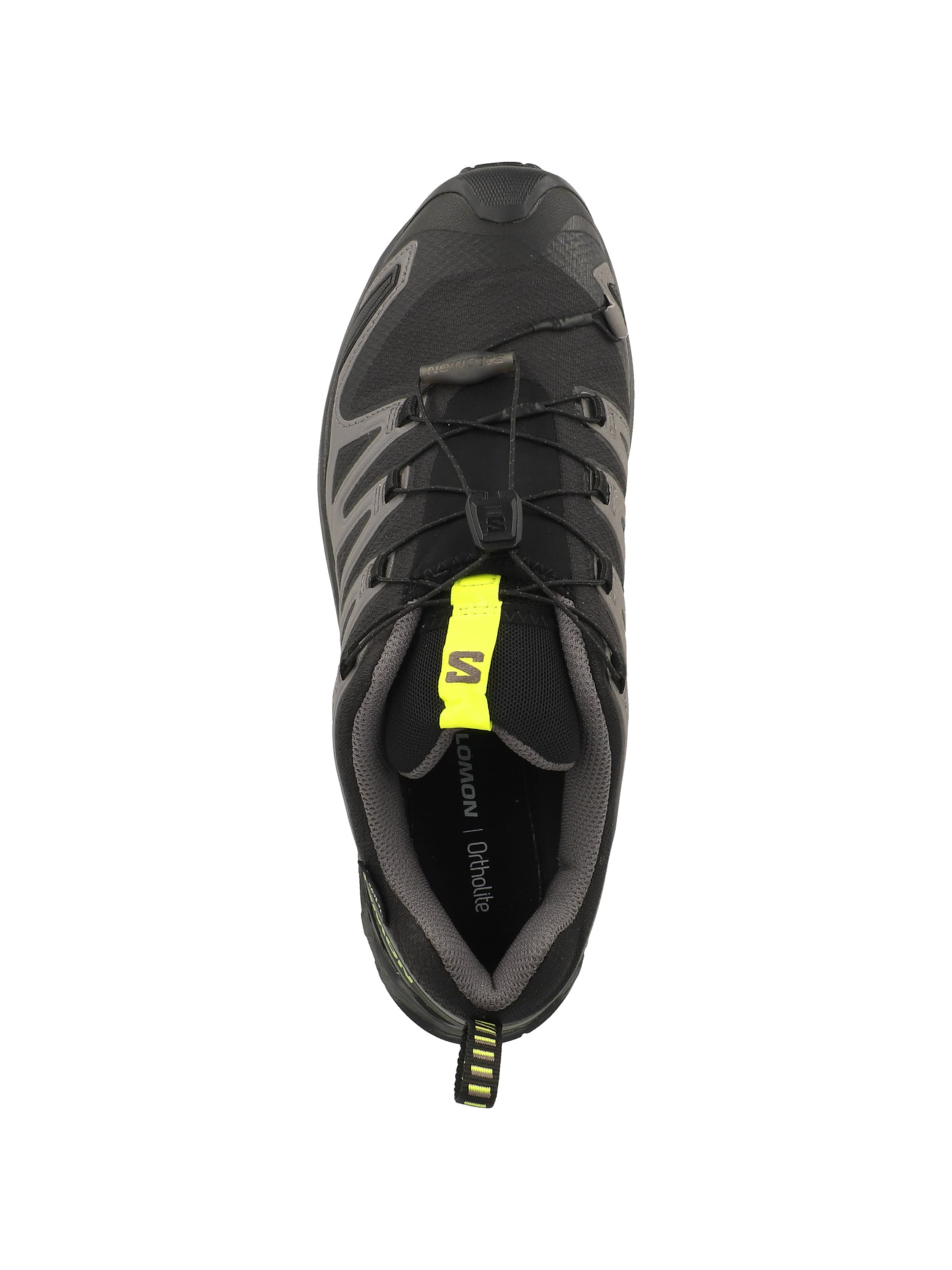 Chaussure de course 'XA Pro 3D V9' SALOMON en gris