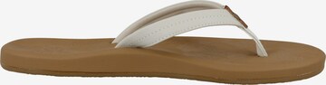 REEF T-Bar Sandals 'Tides' in White