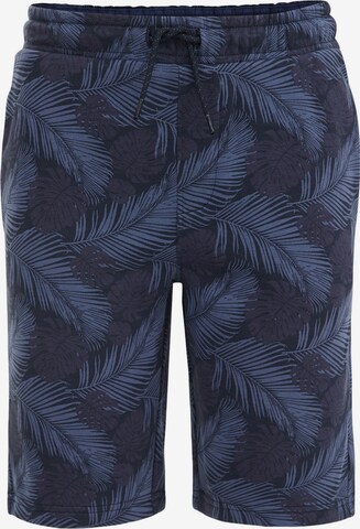 WE Fashion Slimfit Broek in Blauw: voorkant