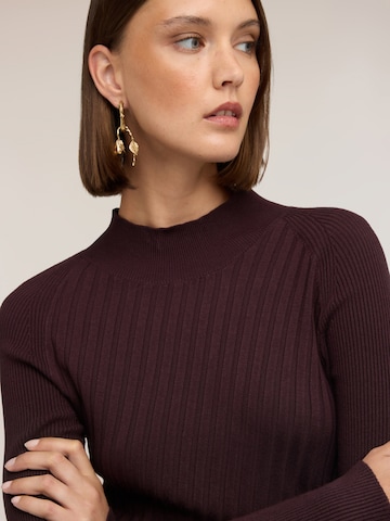 Pull-over MOTIVI en marron