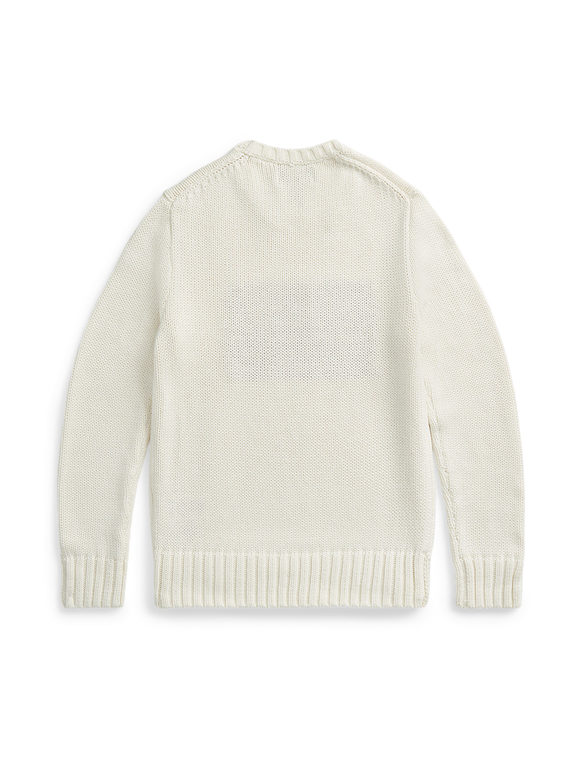 Polo Ralph Lauren Πουλόβερ σε λευκό