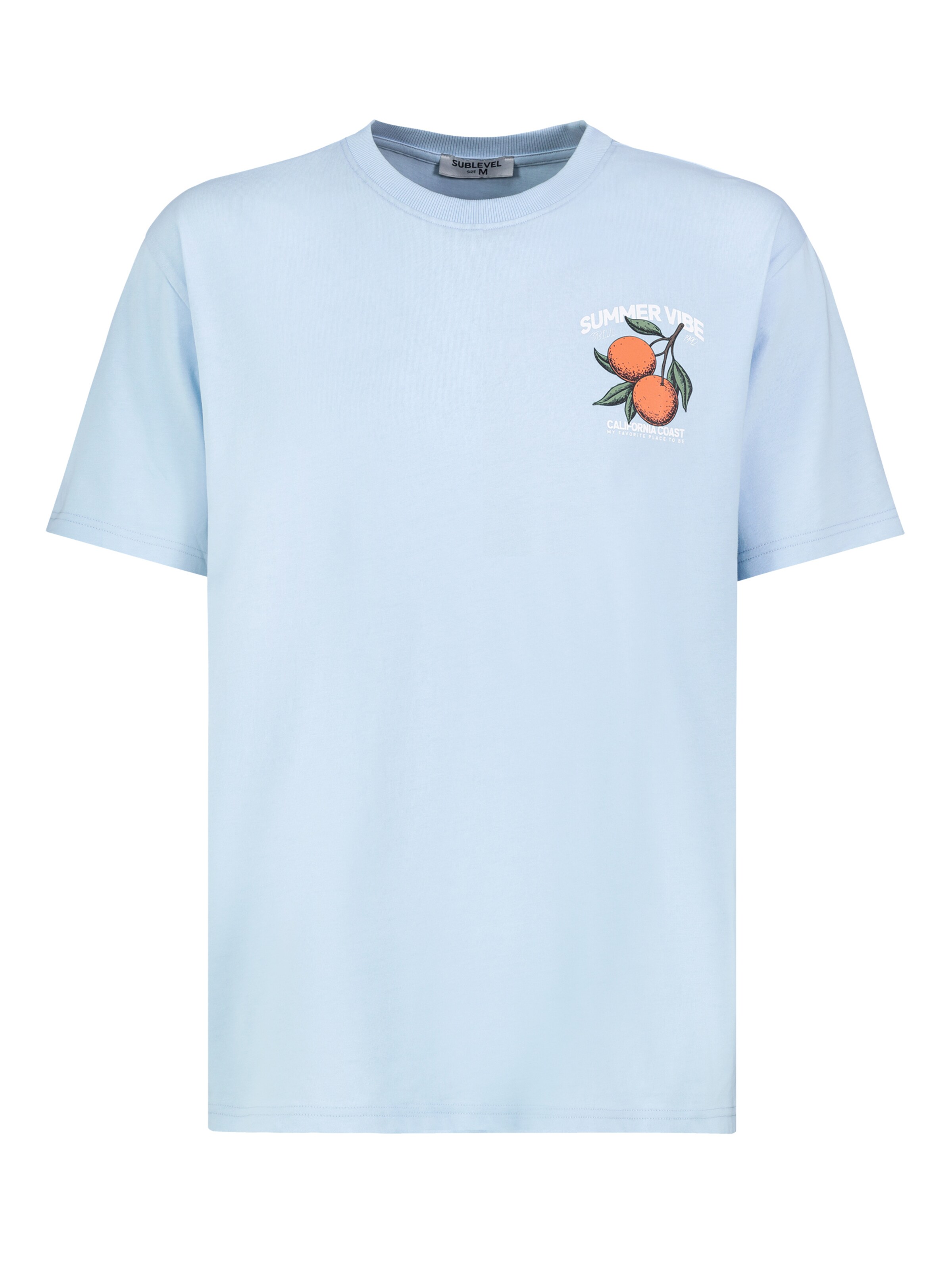Sublevel Shirt in Blau: Vorderseite