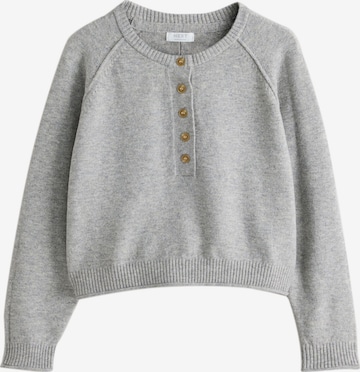 Next - Jersey en gris: frente