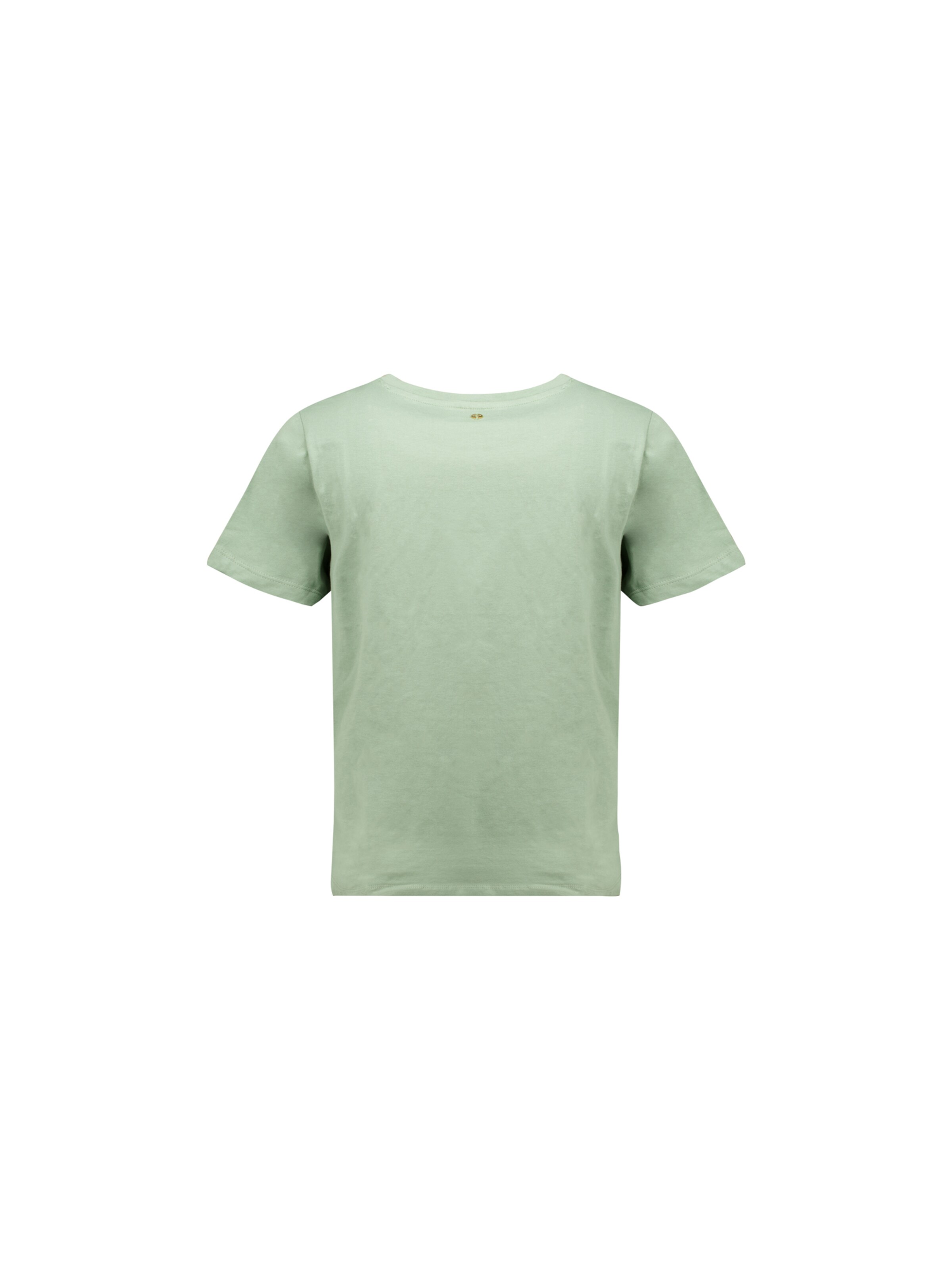 Deeluxe Shirt 'Cherryhearth' in Groen