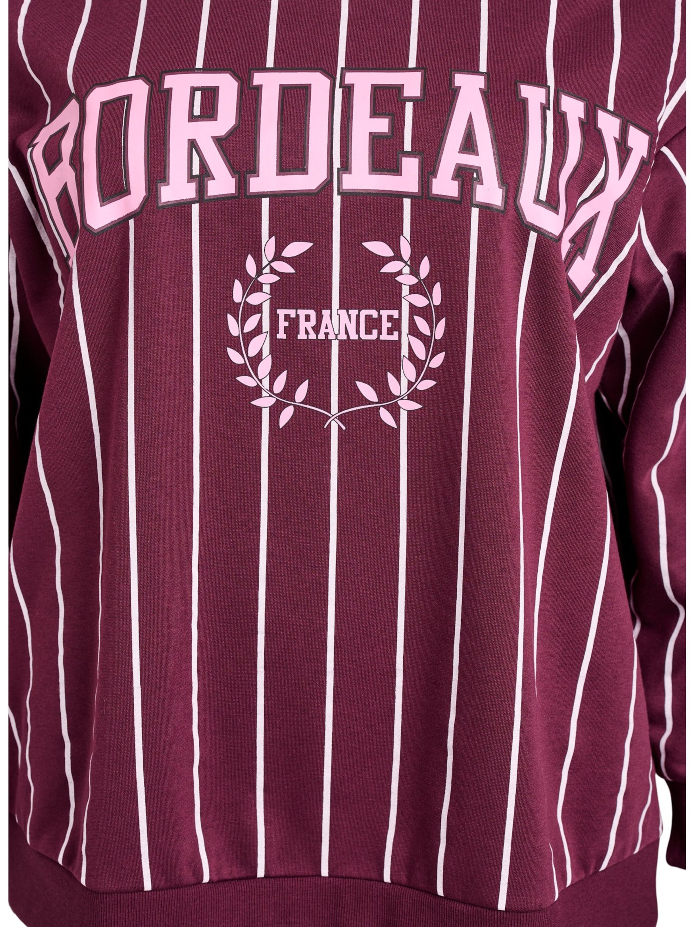 Active by Zizzi Свитшот в Красный