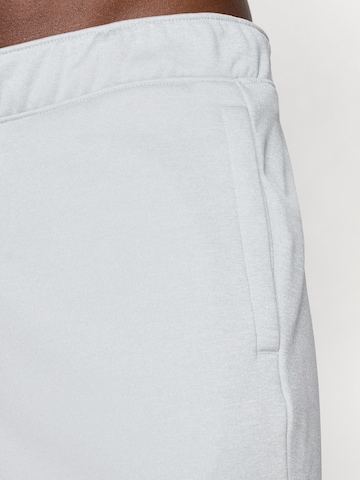 Tapered Pantaloni outdoor 'REAXION' de la THE NORTH FACE pe gri