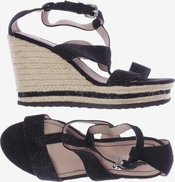 CAFÈNOIR Sandals & High-Heeled Sandals in 38 in Black: front