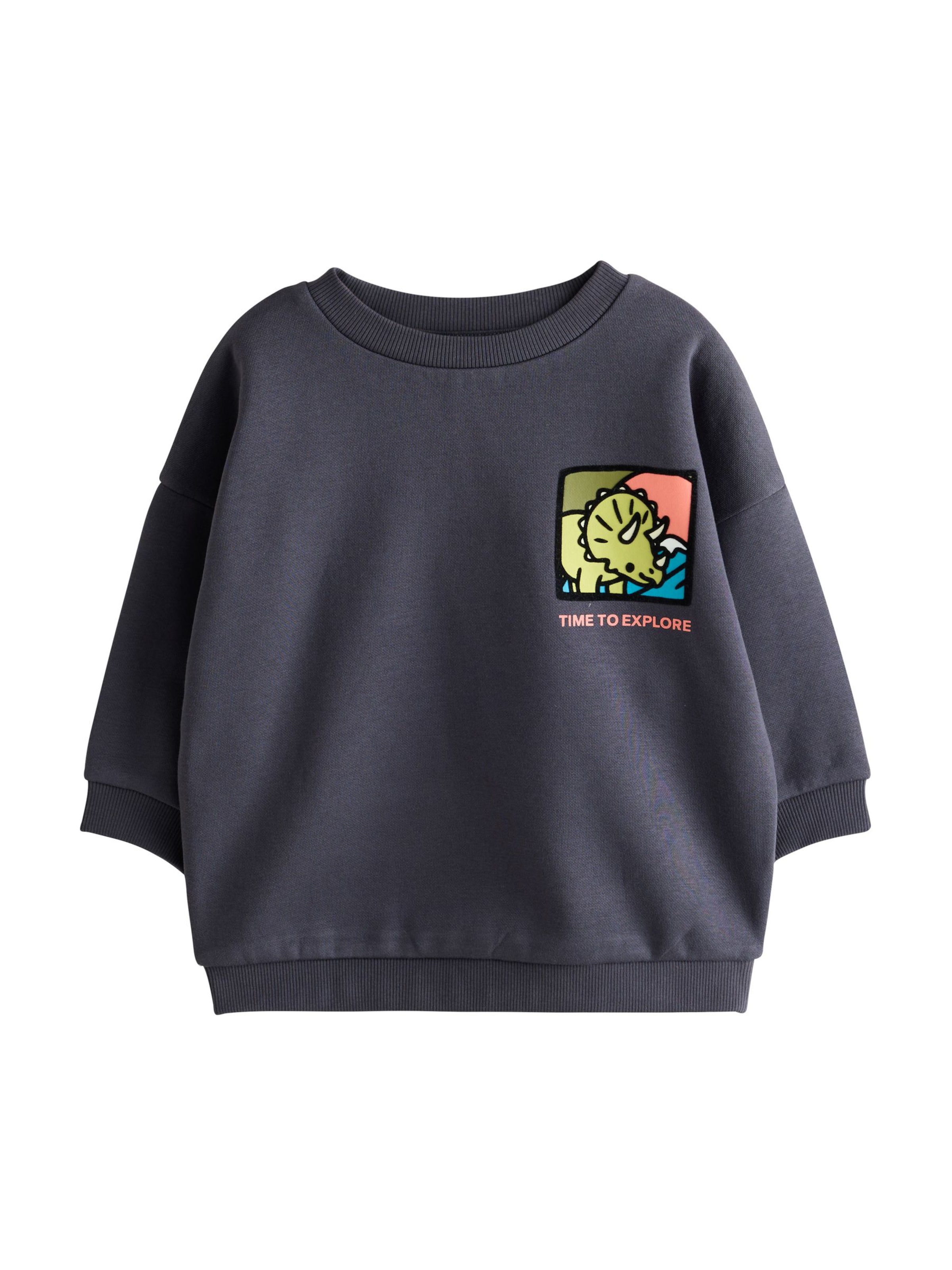 Next Sweatshirt in Grey: front