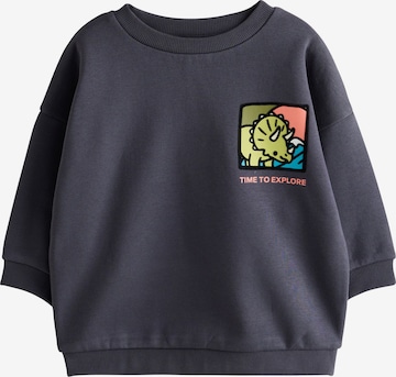 Next Sweatshirt in Grey: front