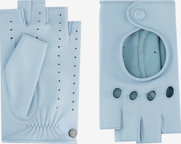Roeckl Short finger gloves ' FLORENZ AUTOFAHRER ' in Blue: front