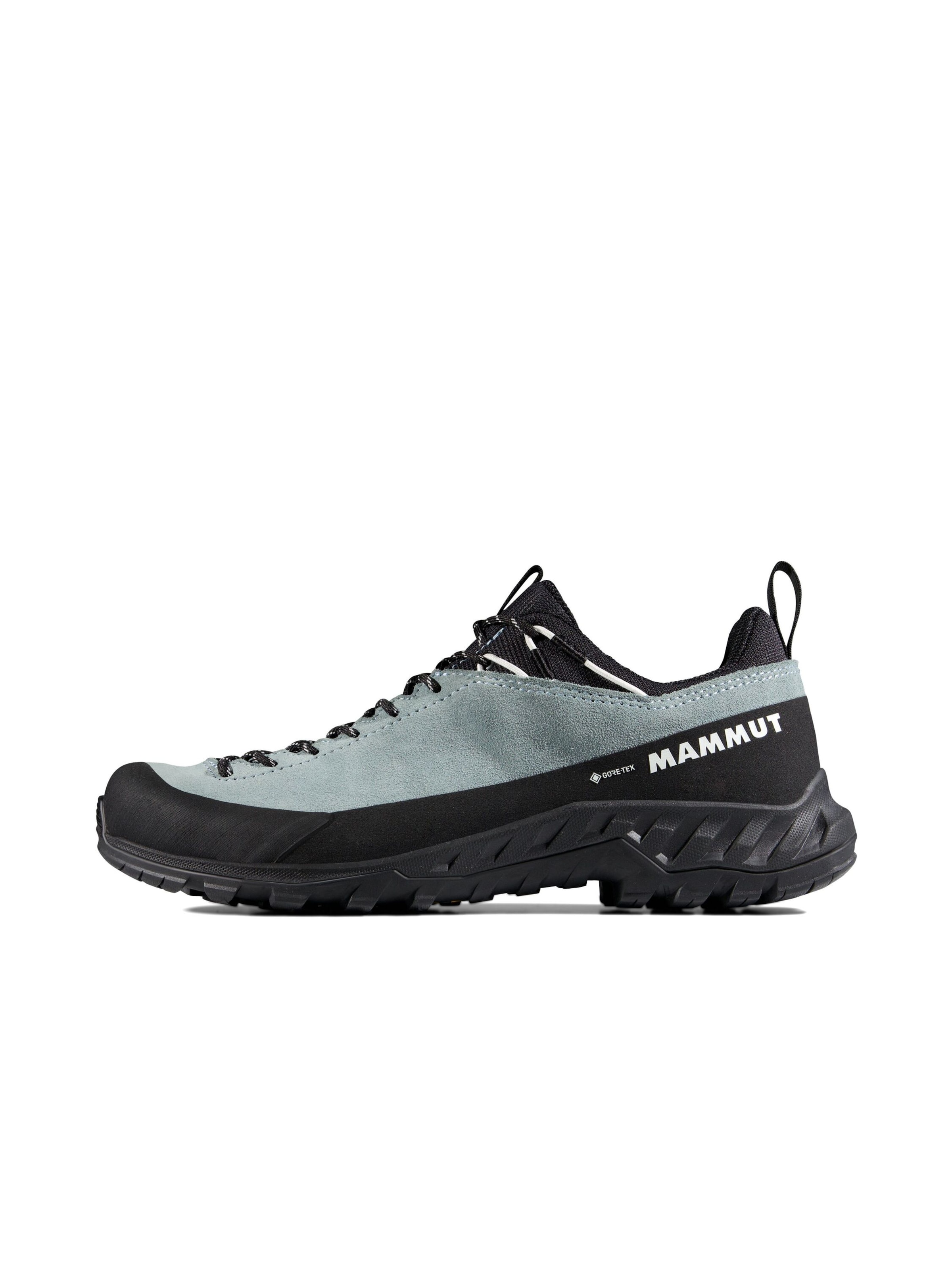 MAMMUT Flats 'Alnasca IV' in Blue: front