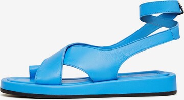 CESARE GASPARI Sandals in Blue: front