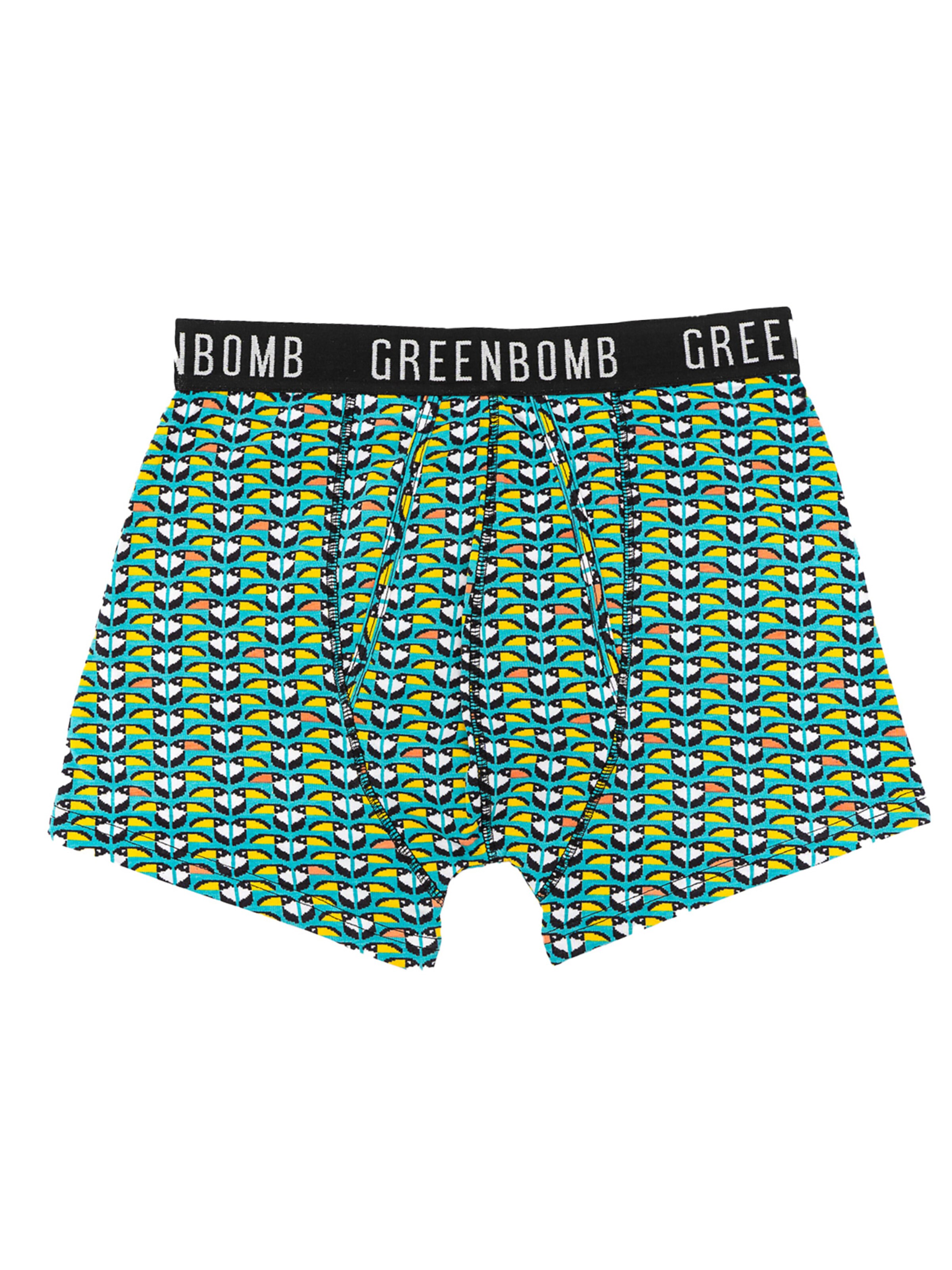 Boxers GREENBOMB en vert