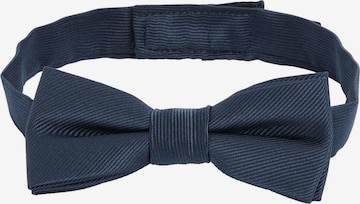 mėlyna Next Kostiumo aksesuarai: priekis