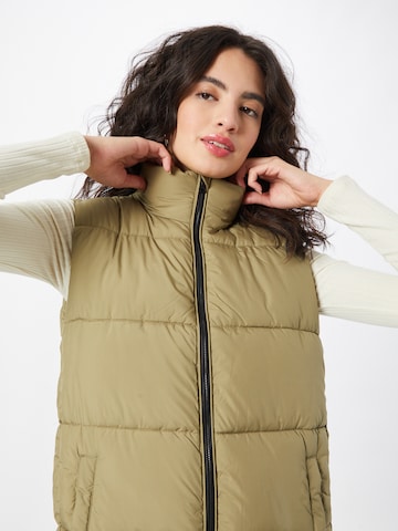 Gilet di Superdry in verde