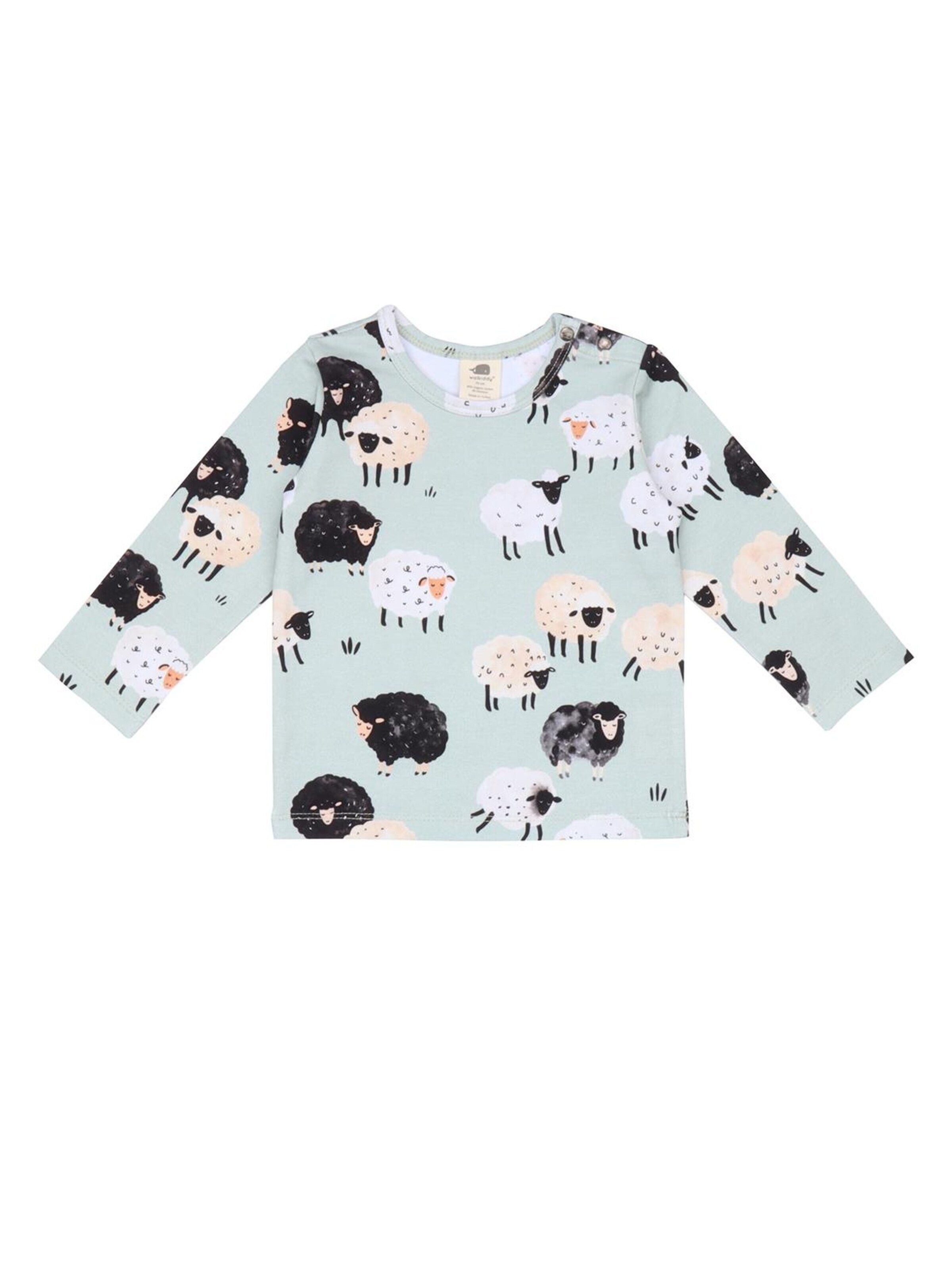 Walkiddy Shirt 'Walkiddy - Fluffy Sheeps Shirt'‌‌‌‌‌‌‌‌‌‌ in Grün: Vorderseite