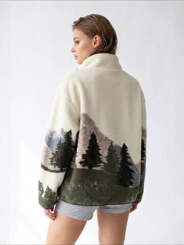 MixRay Sweatshirt 'Sweatshirts'‌‌‌‌‌ in Mischfarben
