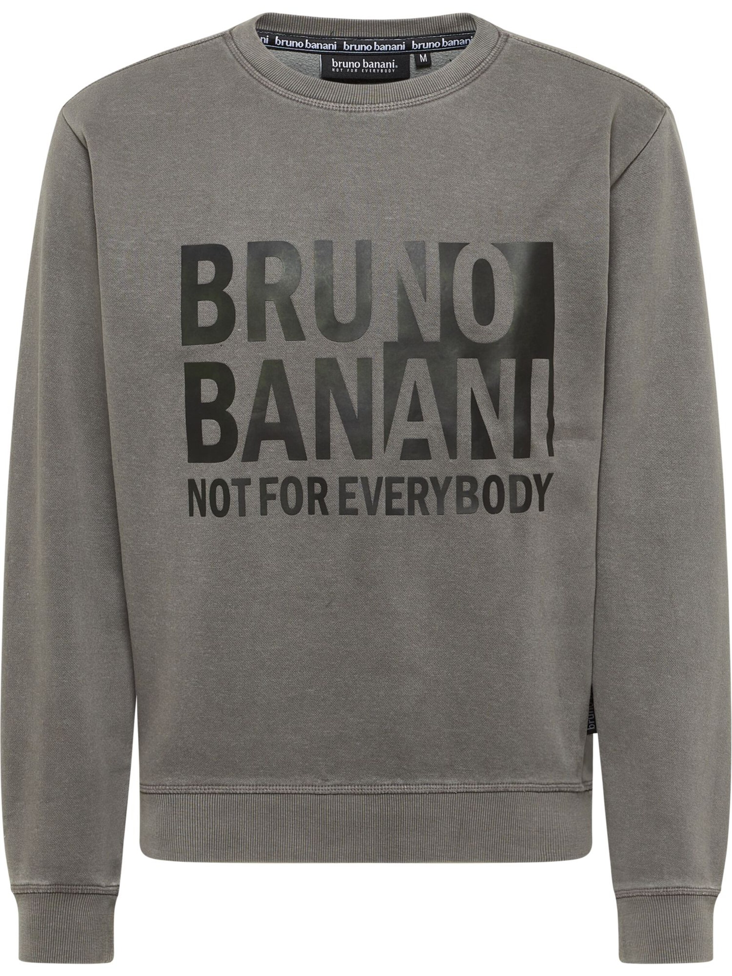 Bruno Banani Sweatshirt 'Birdwhistle' in Grey: front