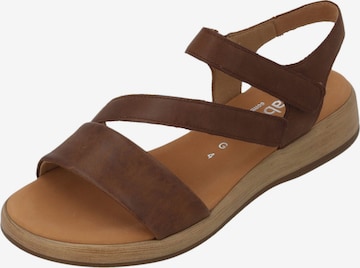 GABOR Strap Sandals 'Comfort 62.733' in Brown: front