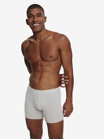 ESPRIT Boxer shorts in Blue: front