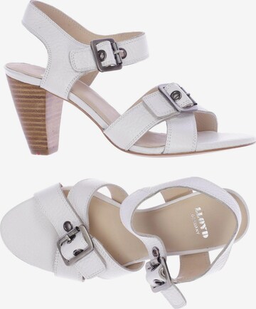 LLOYD Sandals & High-Heeled Sandals in 35,5 in White: front
