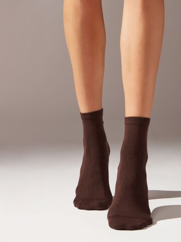 CALZEDONIA Socks in Brown: front