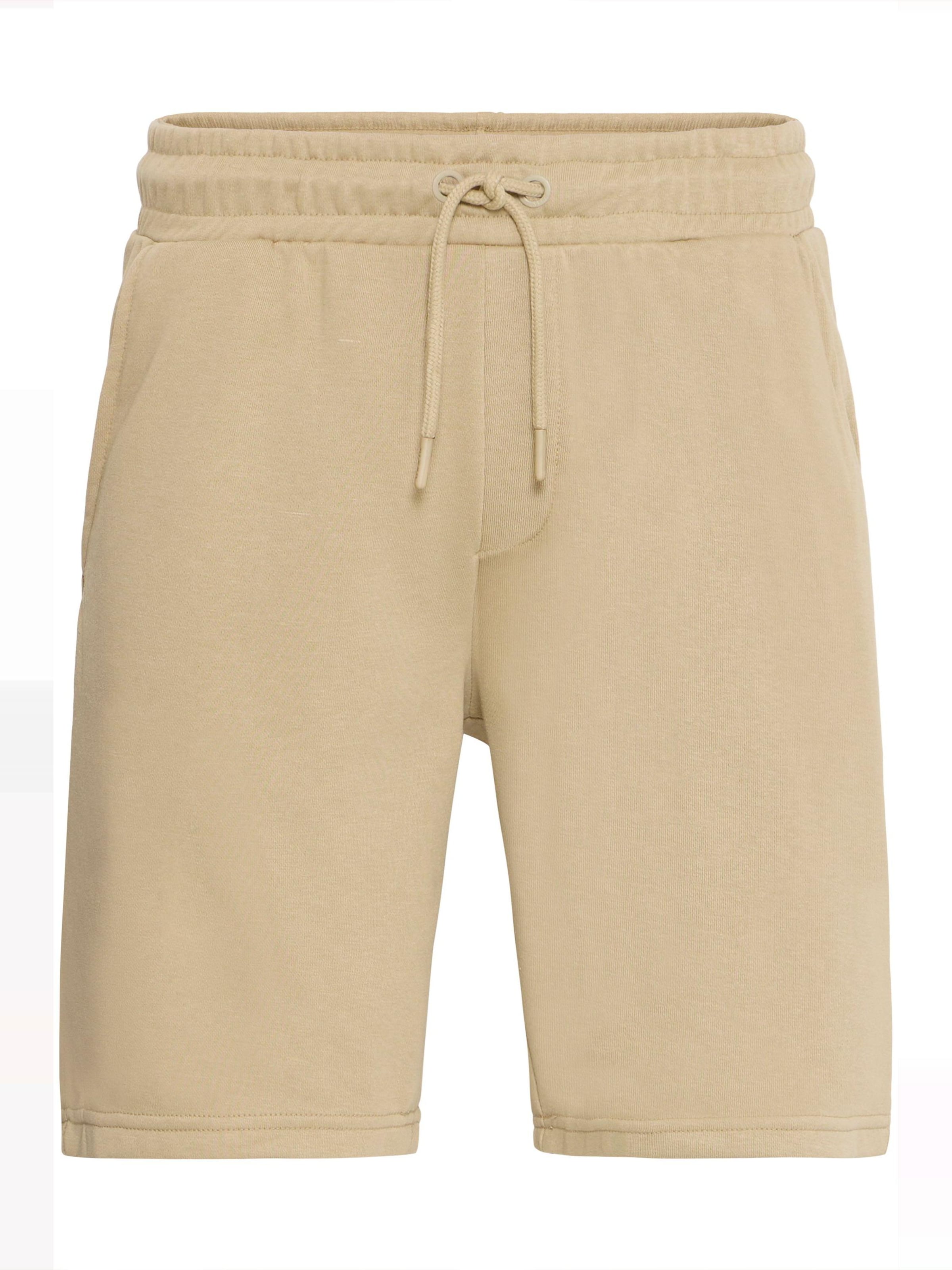 Pantaloni ' BHCANO ' di BLEND in marrone: frontale