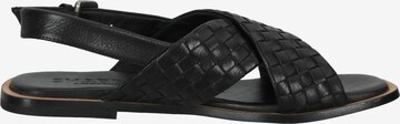 SHABBIES AMSTERDAM Sandals in Black