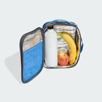 Sac de sport 'Tiro_Nster' ADIDAS PERFORMANCE en gris