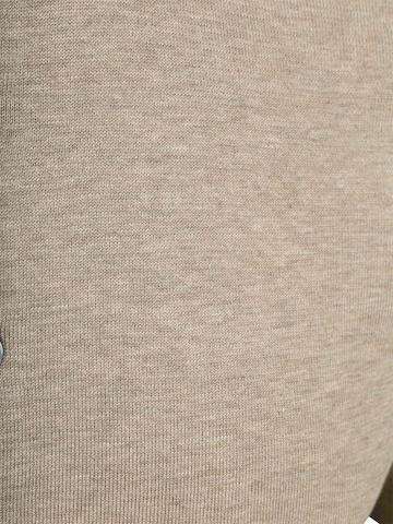 Profuomo Shirt in Beige