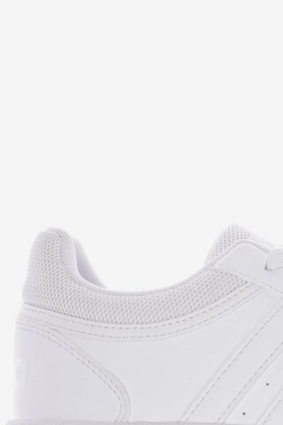 ADIDAS PERFORMANCE Sneakers & Trainers in 39 in White