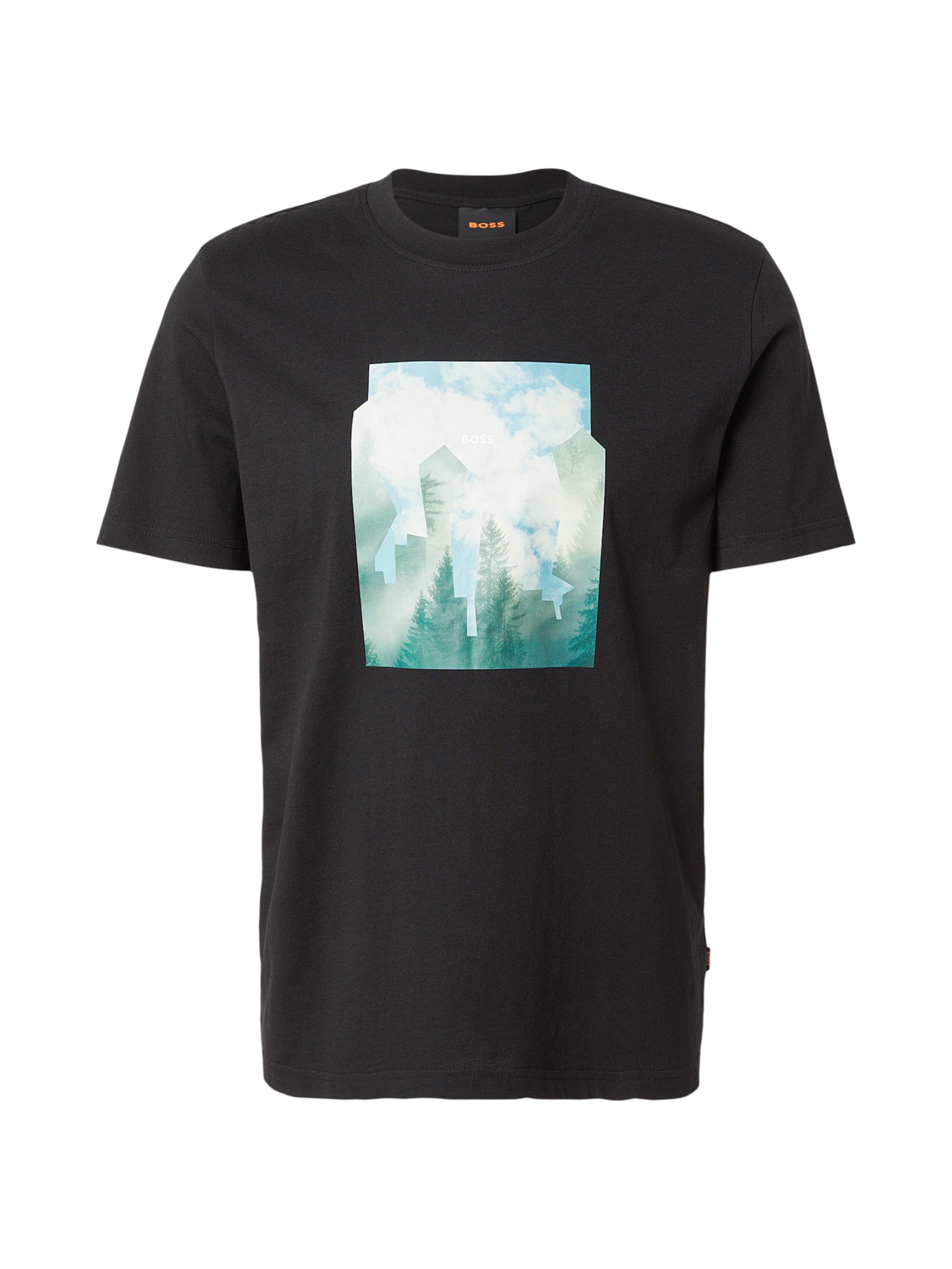 türkiz / világoskék / pasztellzöld / fekete BOSS Póló 'Te_Cover', Termék nézet