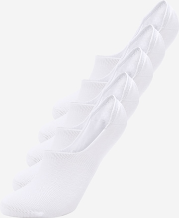 Hollister no show socks sales